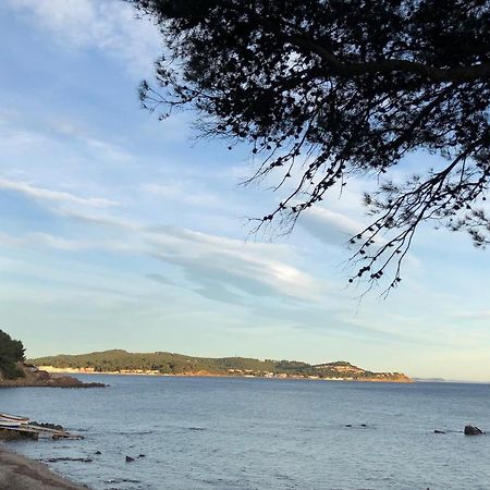 Studio St-Mandrier 300M Mer Saint-Mandrier-sur-Mer Zewnętrze zdjęcie